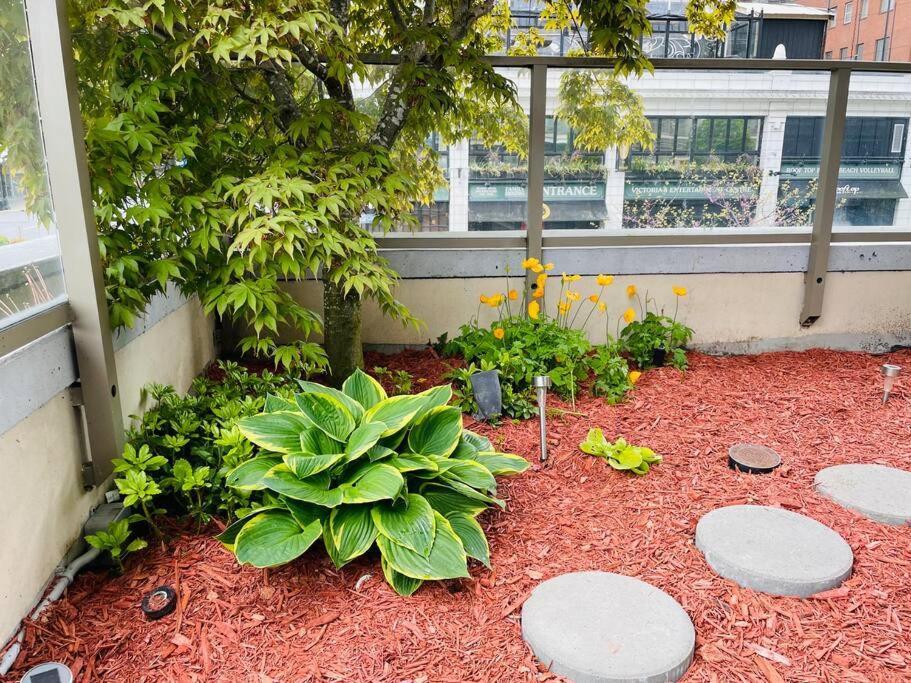Spacious Downtown 2 Bedroom Condo With Pool And Air Conditioning Victoria Exterior foto